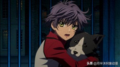 ​犬八传：善良又温柔的犬冢信乃