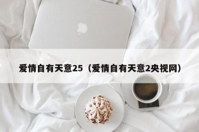 ​爱情自有天意25（爱情自有天意2央视网）