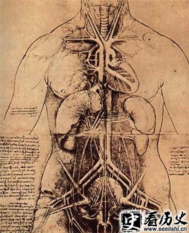 达芬奇生理解剖图