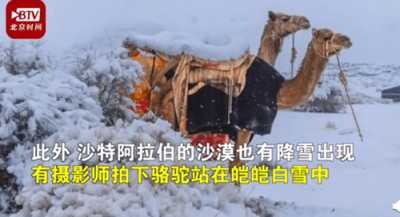 ​骆驼在撒哈拉沙漠雪中漫步
