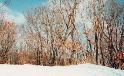 ​日历上冬月是几月份