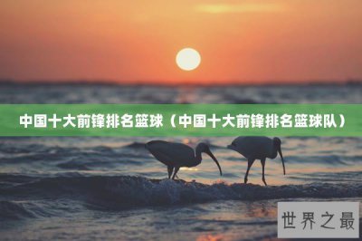 ​中国十大前锋排名篮球（中国十大前锋排名篮球队）