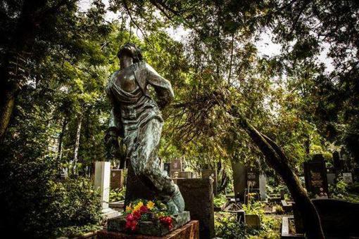 苏联女英雄卓娅是怎么死的?