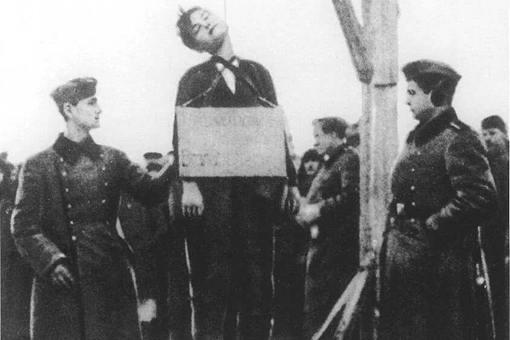 苏联女英雄卓娅是怎么死的?