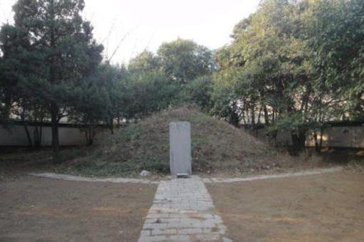 徐达吃鹅肉为什么会死