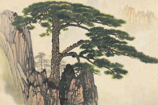 古代人数最多的姓是什么?