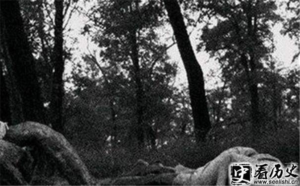 日本投降自杀图片