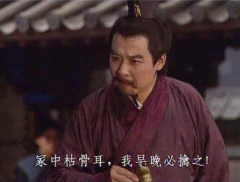 曹操和刘备煮酒论英雄喝的是什么酒?