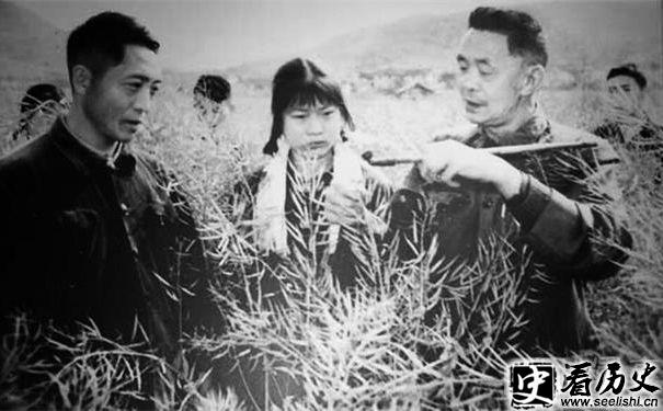 甘祖昌将军务农照片