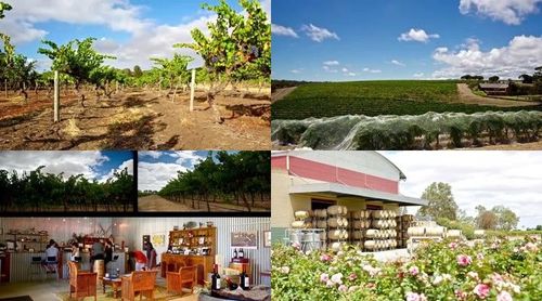 澳洲葡萄酒酒庄