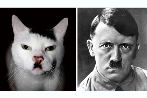 希特勒有哪些怪癖?