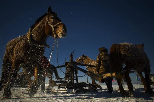 查干湖最大的鱼王有多少斤?