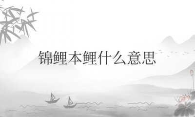 ​锦鲤本鲤什么意思