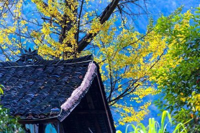 ​珍惜时间用心读书的名言警句（30句关于读书惜时的诗句）