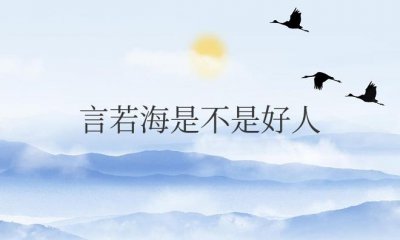 ​言若海是不是好人（《庆余年》中言若海人物形象分析）