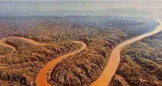 1965年黄河巨龟事件真相揭秘,村民吃了后肠穿肚烂上吊而死