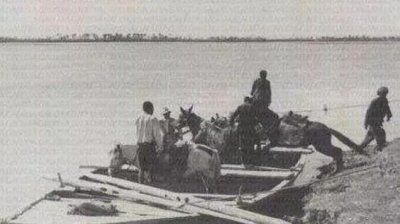 ​1965年黄河巨龟事件真相揭秘，村民吃了后肠穿肚烂上吊而死