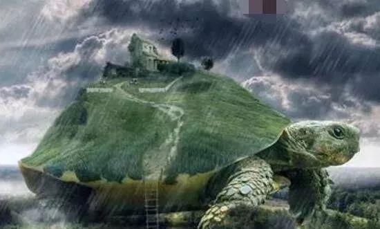 1965年黄河巨龟事件真相揭秘,村民吃了后肠穿肚烂上吊而死