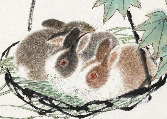 1975年兔兔人的后30年,老一辈说的话不骗人!