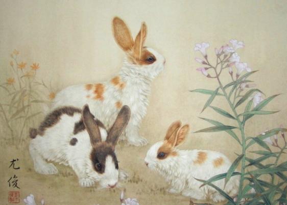 1975年兔兔人的后30年,老一辈说的话不骗人!