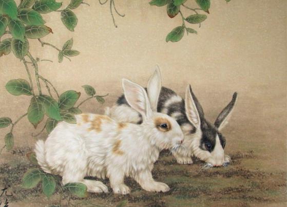 1975年兔兔人的后30年,老一辈说的话不骗人!