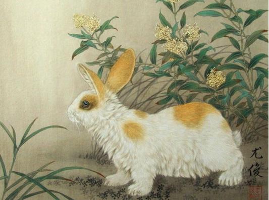 1975年兔兔人的后30年,老一辈说的话不骗人!