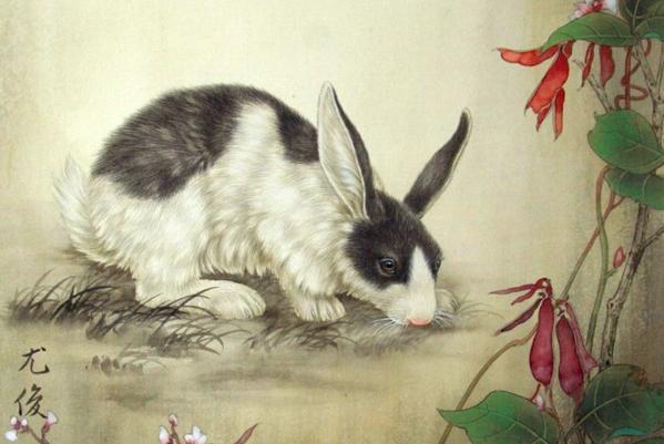 1975年兔兔人的后30年,老一辈说的话不骗人!