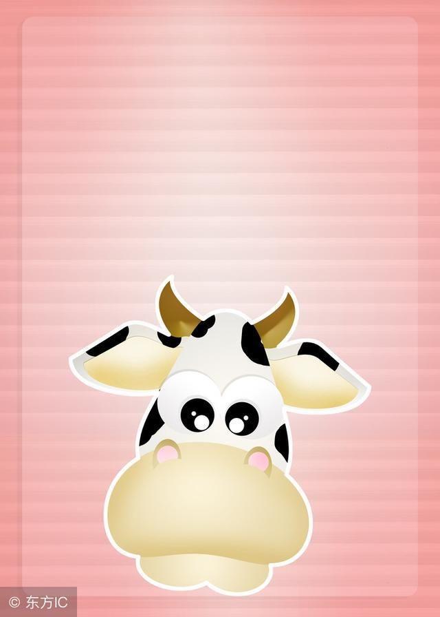 1973年出生：45岁苦命牛的后10年