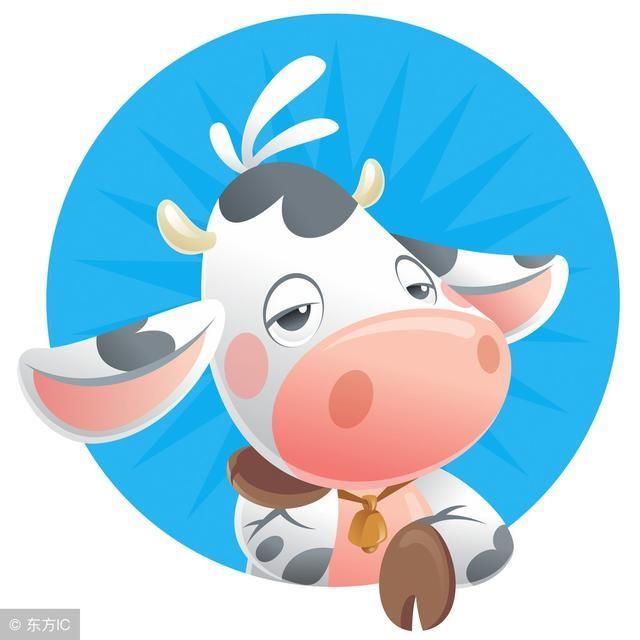 1973年出生：45岁苦命牛的后10年