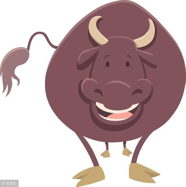 1973年出生：45岁苦命牛的后10年