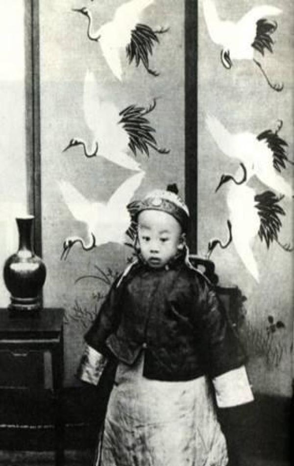慈禧选择三岁的溥仪继位，也不给他父亲载沣，真相让人佩服
