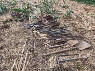 ​这个女人是哪位？为什么公子鲍不可能辜负这个说不清楚关系的女人？历史