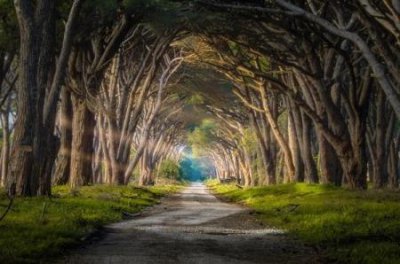 ​香妃墓开棺时的照片干尸 河南香妃墓开棺时的照片