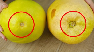 ​买柚子时怎么知道甜不甜？老果农：掌握这6个小技巧，一挑一个准