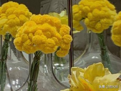 ​单身女生发朋友圈的个性说说