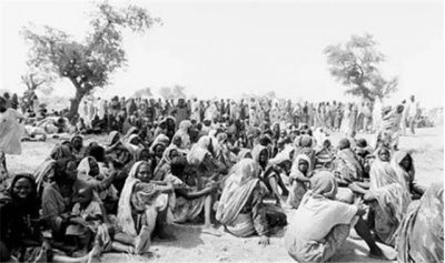 ​26年前的“秃鹫和小女孩”照片，女孩结局怎样了？摄影师更悲剧