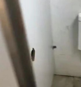 ​山东临沂公厕惊现＂洞中窥人＂大案，隐私权岌岌可危！