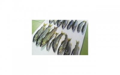 ​老公思想出轨,与人聊暧昧怎么办，老公思想出轨、与人聊暧昧，应该怎么办？