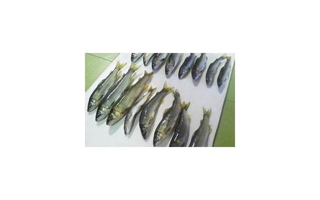 老公思想出轨,与人聊暧昧怎么办，老公思想出轨、与人聊暧昧，应该怎么办？