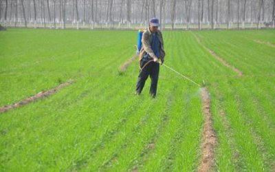 ​农田该打除草剂了，一天中什么时候打除草剂效果最好呢？