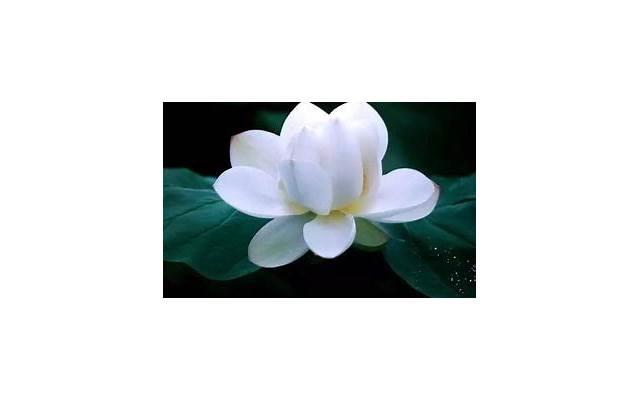 男人暗恋你的三个“举动”,女人别不在意