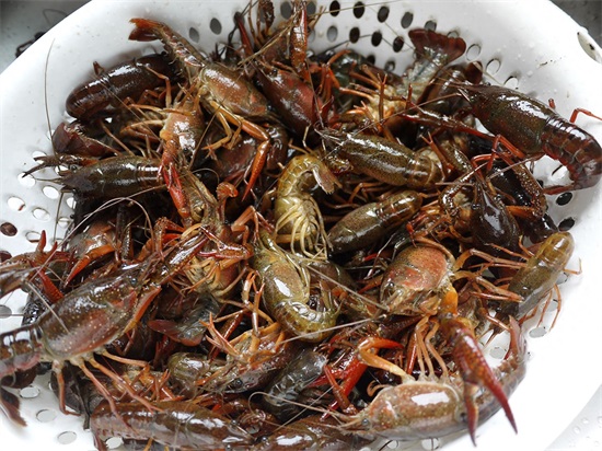 大排档点单率最高的菜，麻辣小龙虾这么做，一盆全吃光