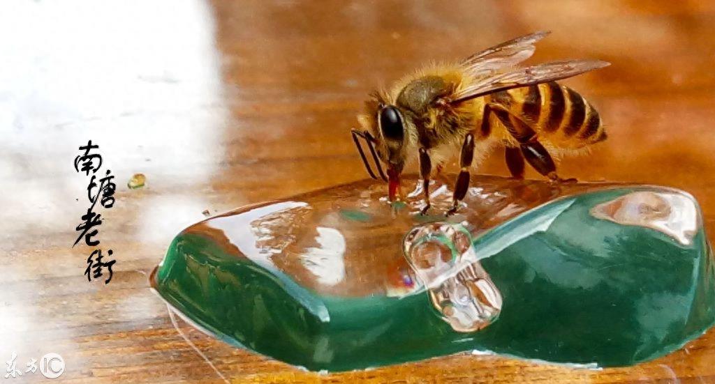 宁波八大历史街区之——南塘老街