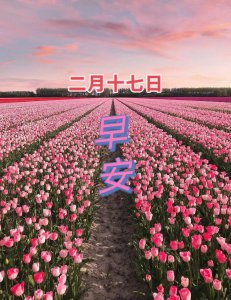 ​历史上的今天（2月17日）