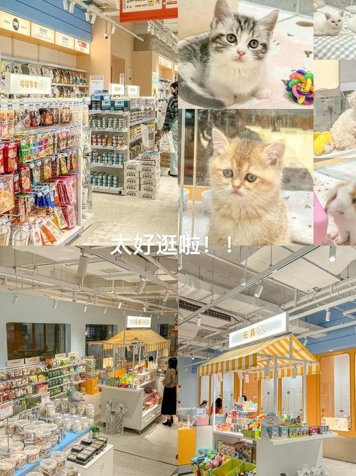 上海宠物市场(上海宠物市场有哪些)