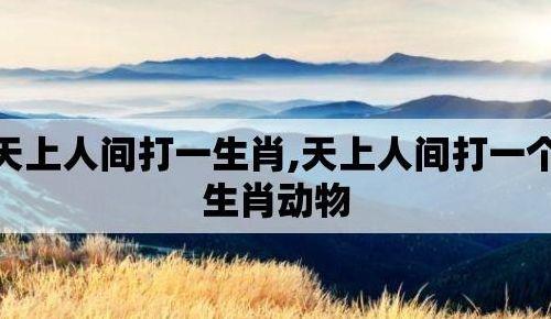 天上人间打一个生肖(天上人间打一个生肖标准答案)