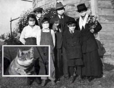 ​走出历史的圈