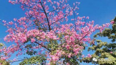 ​走进顺德伦教678文化街，翻阅一卷斑驳又鲜活的历史