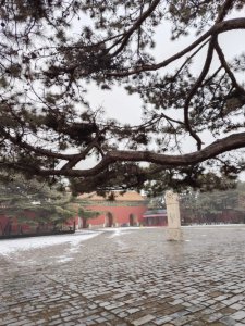 ​解读明朝历史