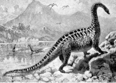 ​最大的恐龙，易碎双腔龙比长达36米的地震龙还要大